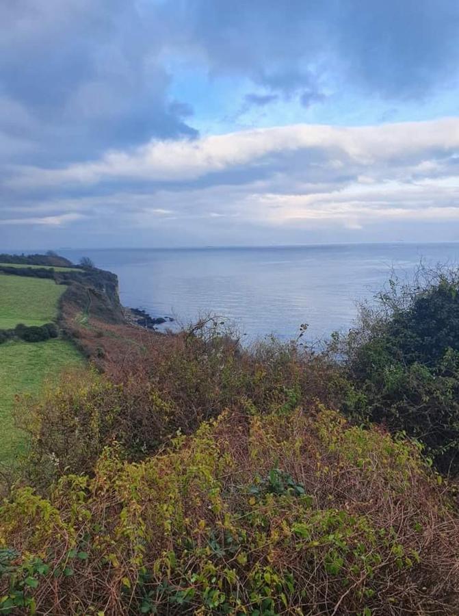 Jaw-Dropping Beach House In Anglesey ベンスレフ エクステリア 写真
